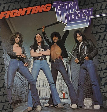 Fighting cover