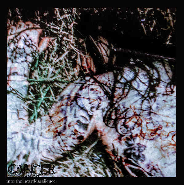 Into the Heartless Silence cover