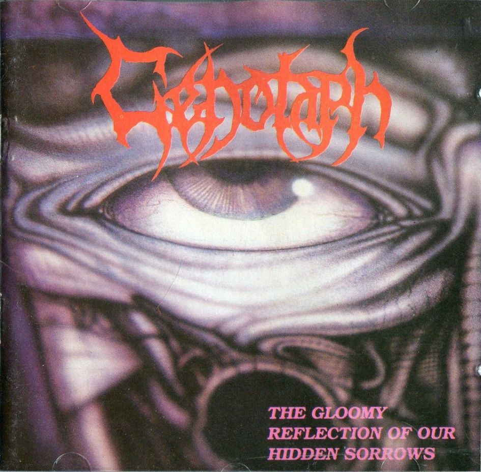 The Gloomy Reflection of Our Hidden Sorrows cover