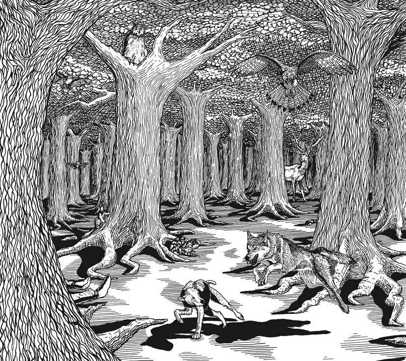 À cor et à cri cover