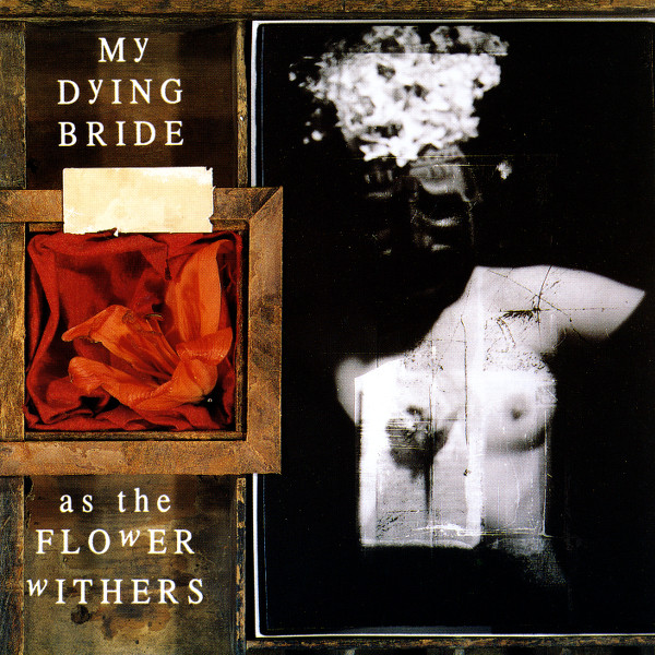 As the Flower Withers cover