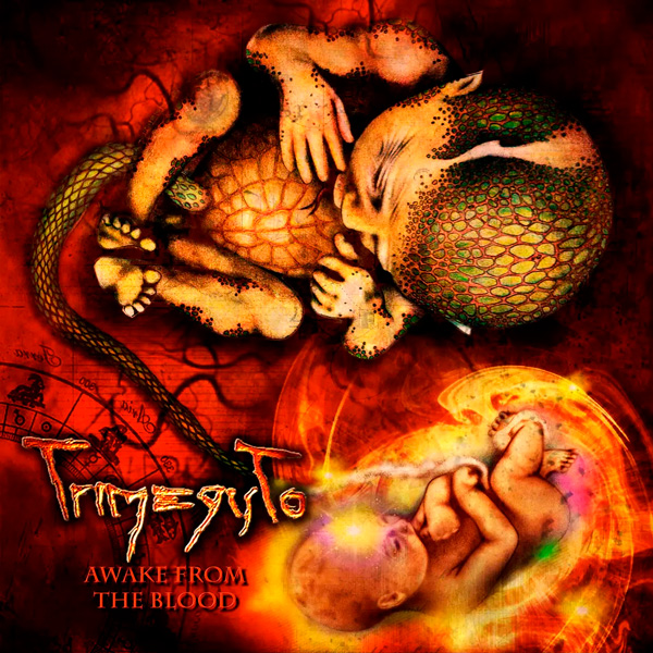 Awake from the Blood cover